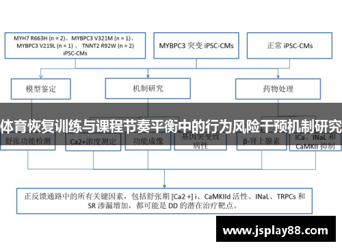 体育恢复训练与课程节奏平衡中的行为风险干预机制研究